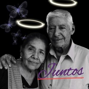 Meet your Posher, Marco